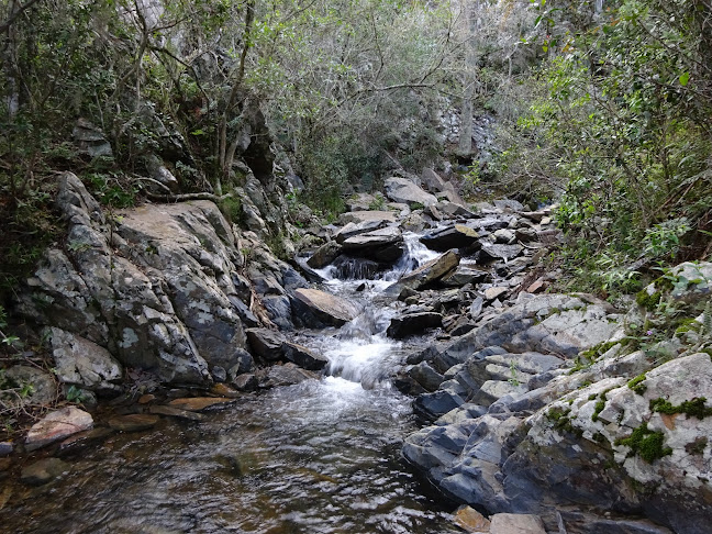 Comentarios y opiniones de Paisaje protegido Quebrada de los Cuervos y Sierras del Yerbal