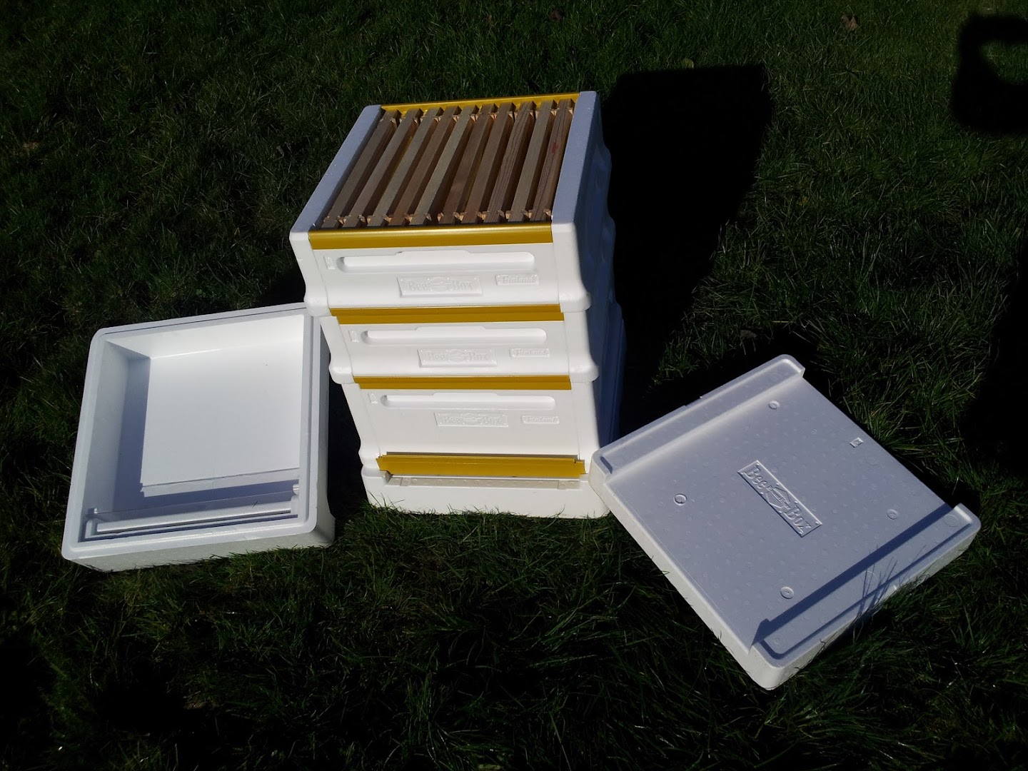 Modern Beekeeping