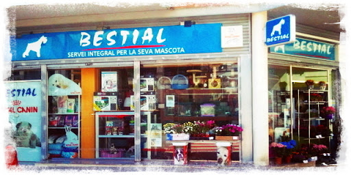 Bestial Masquefa en Masquefa, Barcelona