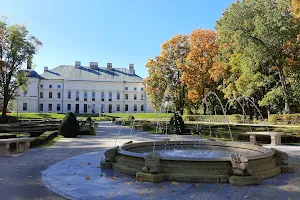 Palace park in Lubartów image