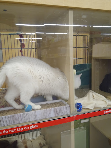 Pet Supply Store «PetSmart», reviews and photos, 430 NW Eastman Pkwy, Gresham, OR 97030, USA