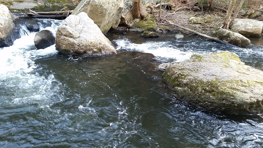 Nature Preserve «Cotton Hollow Preserve», reviews and photos, 493 Hopewell Rd, South Glastonbury, CT 06073, USA
