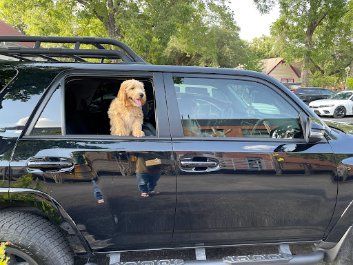 Coffee Shop «Starbucks», reviews and photos, 1601 N Cockrell Hill Rd, Dallas, TX 75211, USA