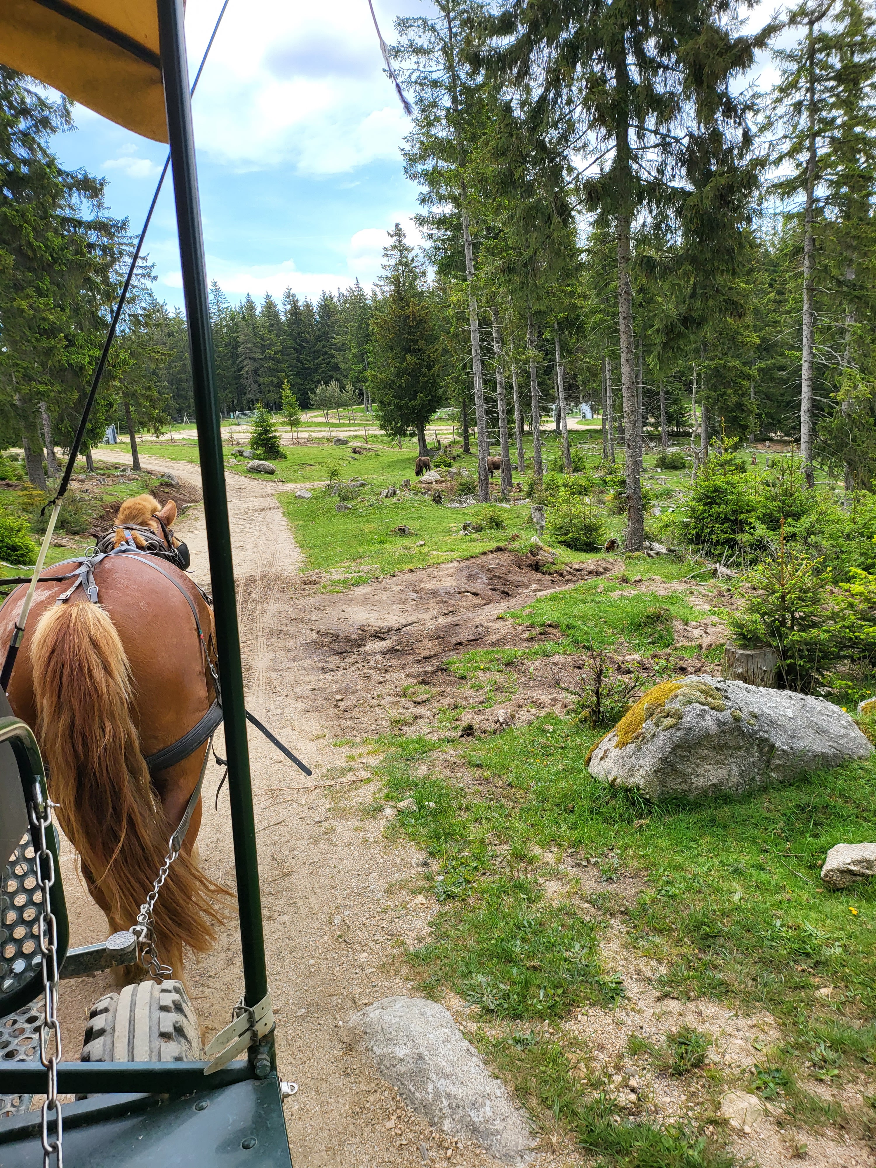 Photo n° 19 de l'avis de Joseph.e fait le 07/06/2023 à 21:11