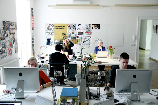 Muğla Web Tasarım Ve Bilişim Hizmetleri