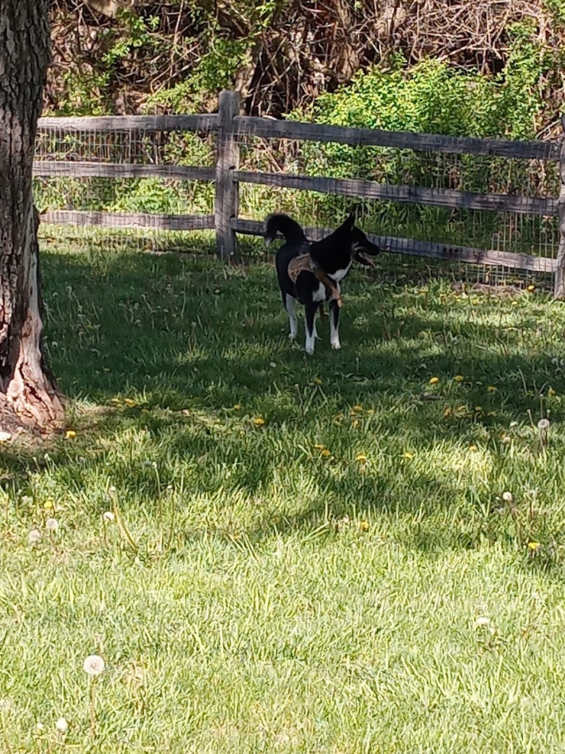 Callahan-Franklin Dog Exercise Area