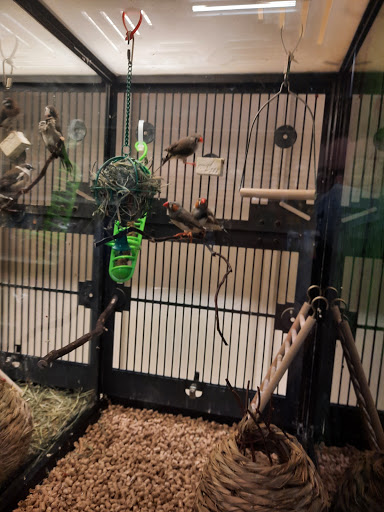 Pet Supply Store «PetSmart», reviews and photos, 1500 NJ-47, Rio Grande, NJ 08242, USA