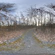 Stratton Woods Park Reservable Picnic Area