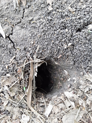 Park «The Crape Myrtle Trails of McKinney», reviews and photos, 6452 Collin McKinney Pkwy, McKinney, TX 75070, USA