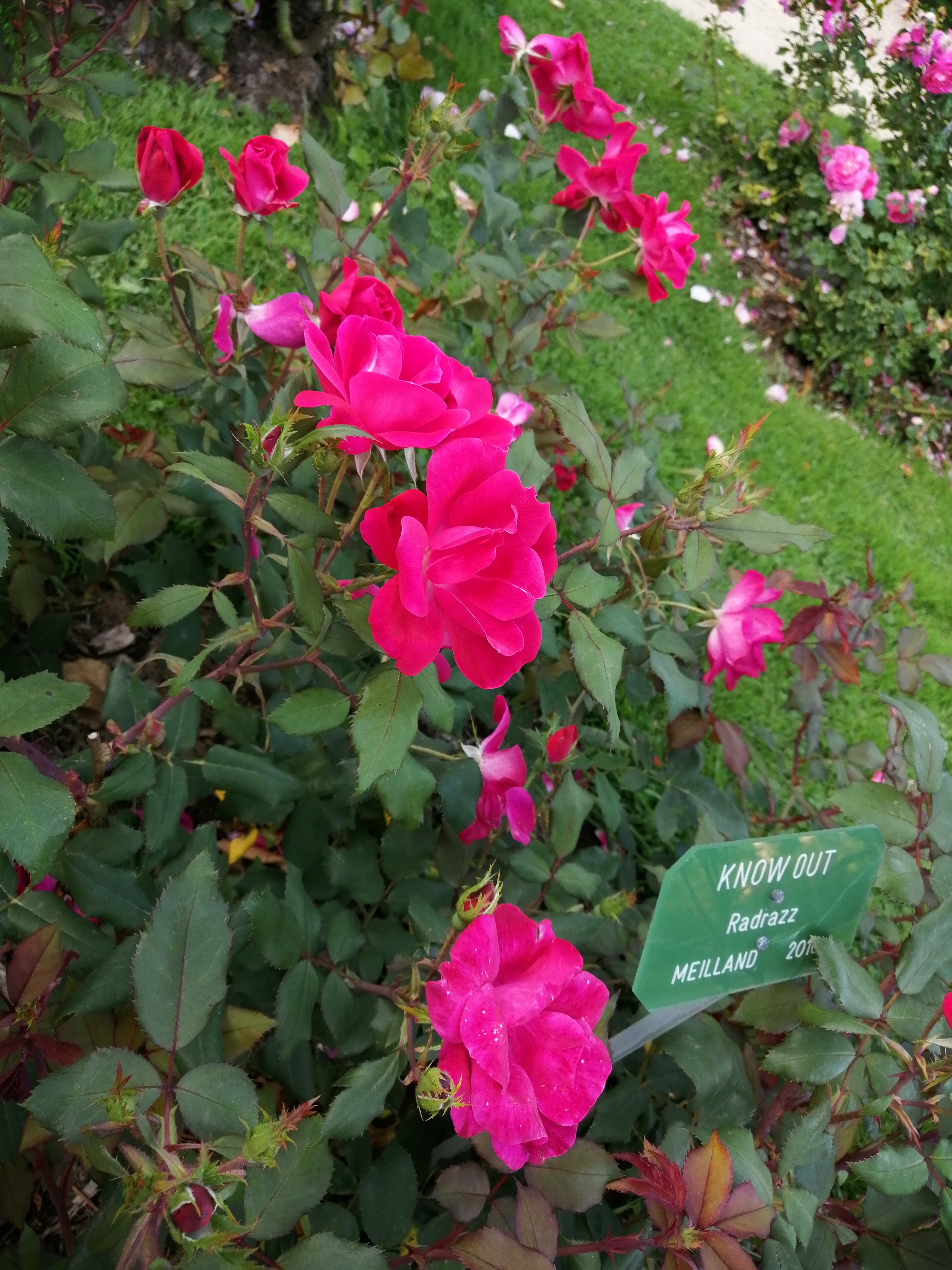 Photo n° 1 de l'avis de Princia.. fait le 22/08/2019 à 17:14