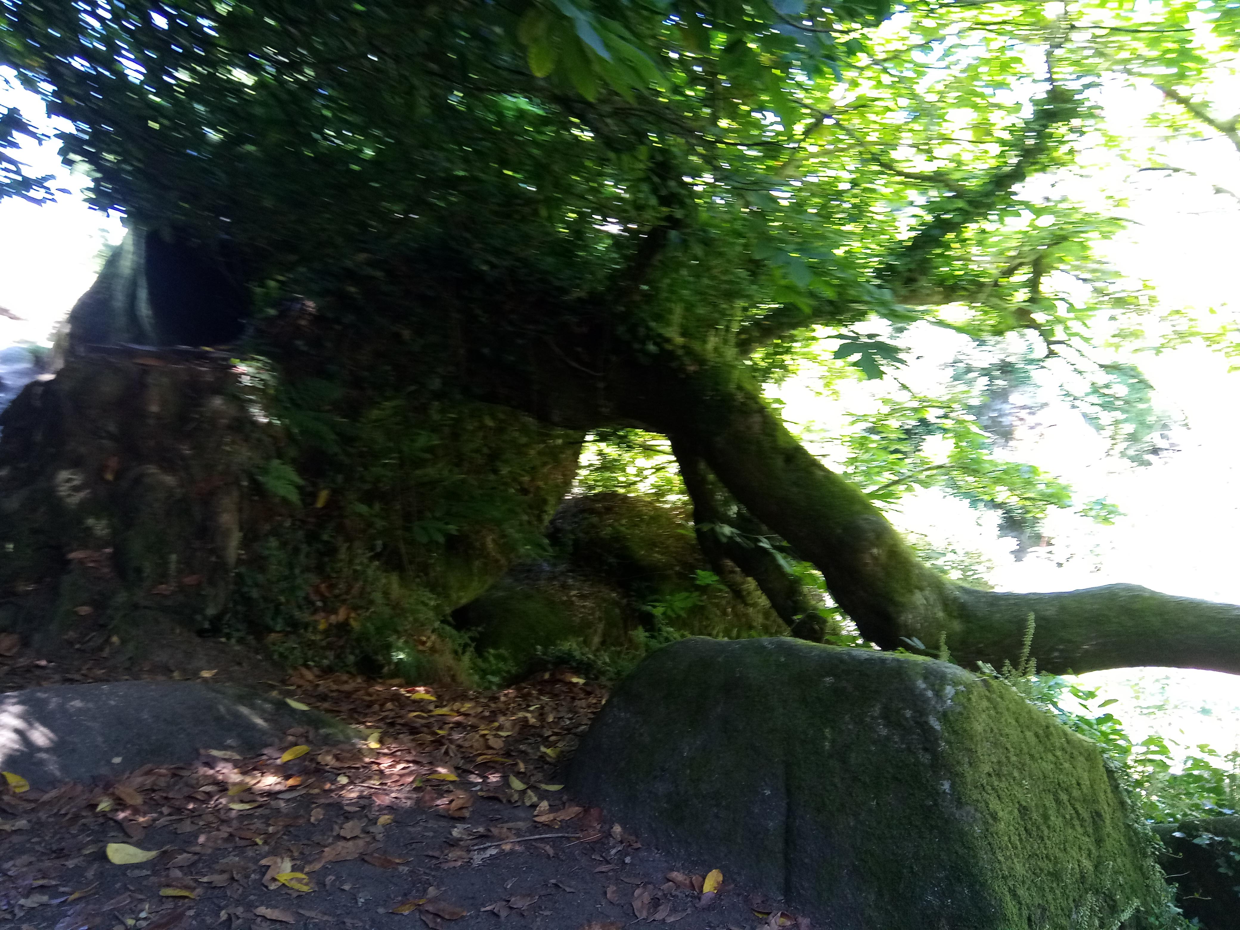 Photo n° 29 de l'avis de Christophe.n fait le 09/07/2018 à 16:57