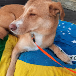 Photo n°3 de l'avis de Tatiana.e fait le 25/08/2021 à 21:51 sur le  Baba Beach à Alassio