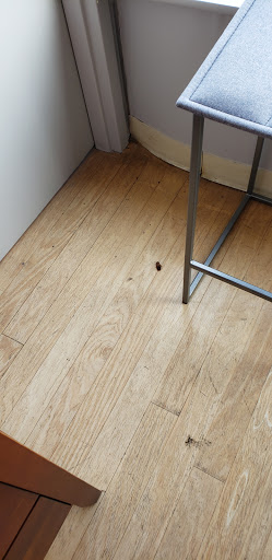 Furniture Store «Circle Furniture - Cambridge», reviews and photos, 199 Alewife Brook Pkwy, Cambridge, MA 02138, USA