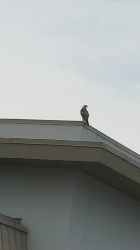 Thrift Store «Unique», reviews and photos, 2201 37th Ave NE, Columbia Heights, MN 55421, USA