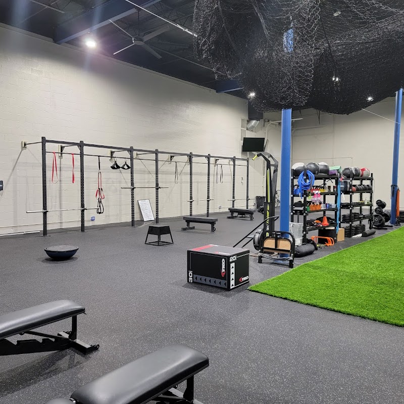 Flux Fitness and Recovery
