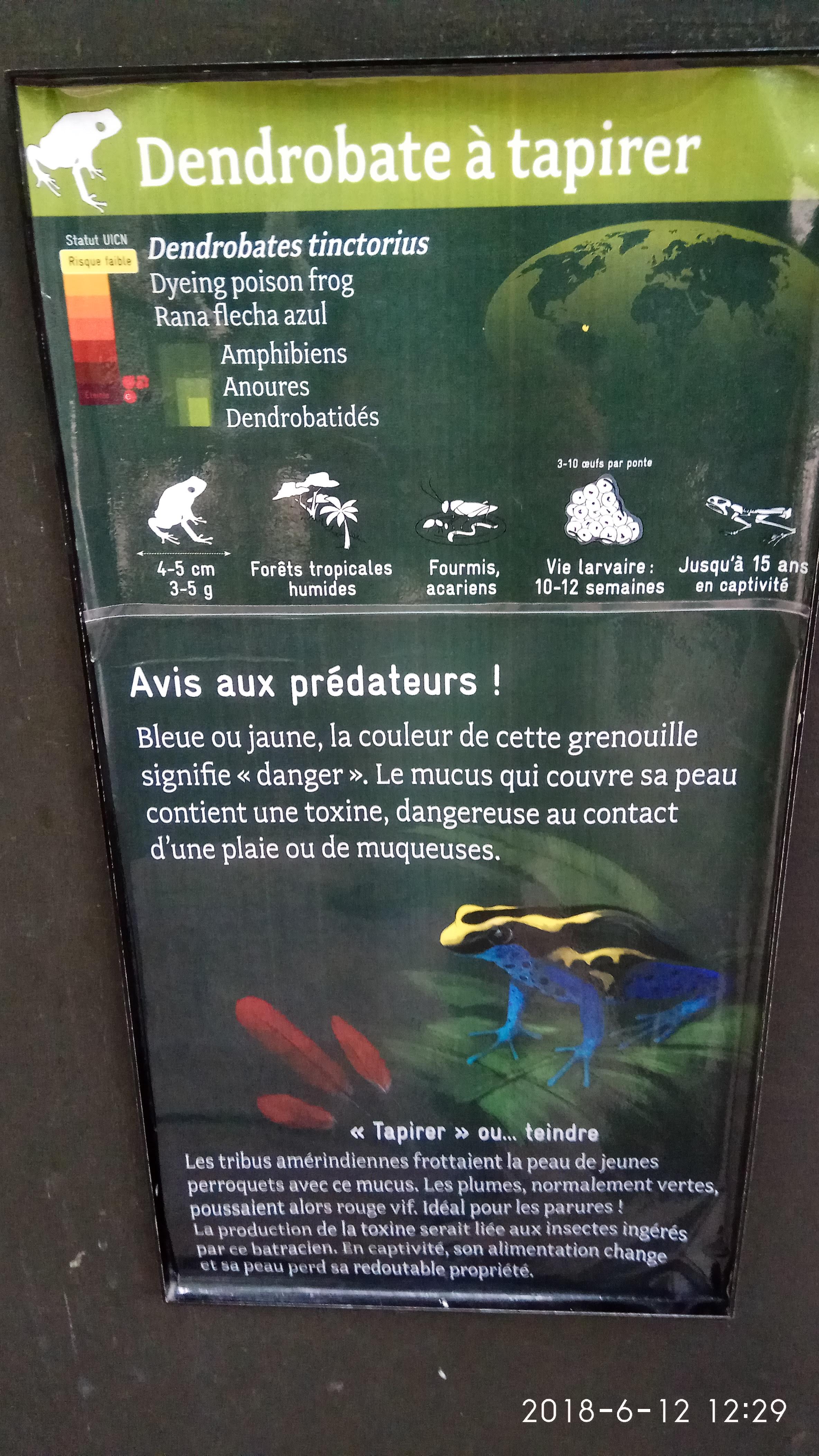 Photo n° 39 de l'avis de Swiss.e fait le 15/06/2018 à 19:24