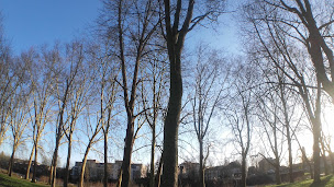 Photo n°67 de Le Clovis à Soissons ()