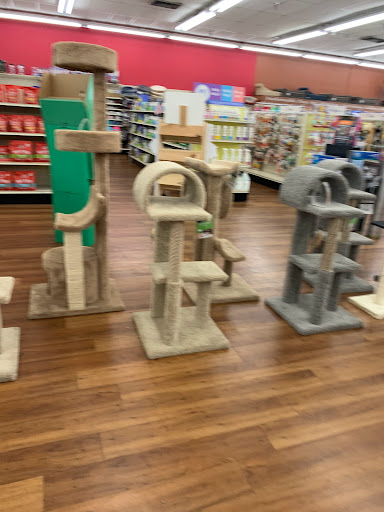 Pet Supply Store «Pet Supermarket», reviews and photos, 1125 Royal Palm Beach Blvd, Royal Palm Beach, FL 33411, USA