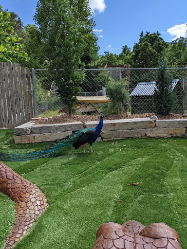 Pet Store «Ponds & Plants», reviews and photos