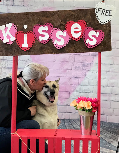 Pet Supply Store «Bark!», reviews and photos, 1809 Reisterstown Rd #131, Pikesville, MD 21208, USA