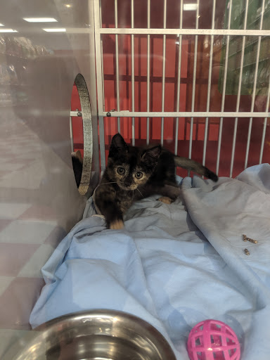 Pet Store «PetSaver Healthy Pet Superstore (Greece Location)», reviews and photos, 1596 W Ridge Rd, Rochester, NY 14615, USA