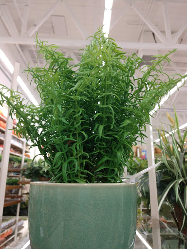 Craft Store «Hobby Lobby», reviews and photos, 3925 Dodge St, Dubuque, IA 52003, USA