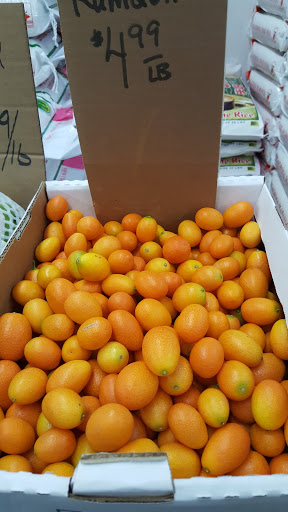 Asian Grocery Store «Lucky Market», reviews and photos, 7100 E Harry St, Wichita, KS 67207, USA