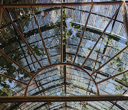 Greenhouse Restaurant photo