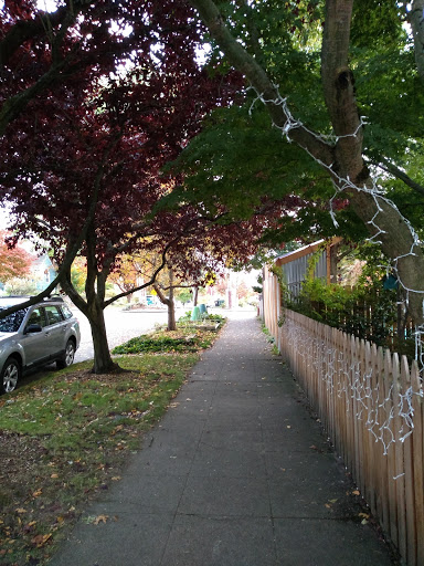 Park «Salmon Bay Park», reviews and photos, 2001 NW Canoe Pl, Seattle, WA 98117, USA