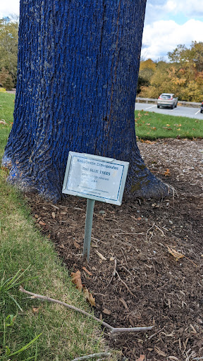 Museum «Cahoon Museum of American Art», reviews and photos, 4676 Falmouth Rd, Cotuit, MA 02635, USA