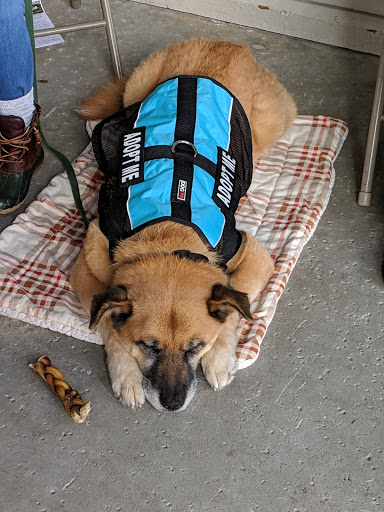 Pet Supply Store «Pet Food Express», reviews and photos, 15466 Los Gatos Blvd, Los Gatos, CA 95032, USA