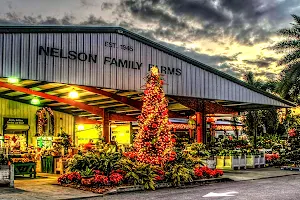 Nelson Family Farms image