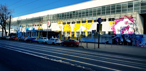 Eisstadion Brehmstraße