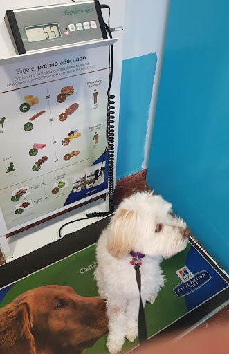 Clínica Veterinaria Motril en Motril