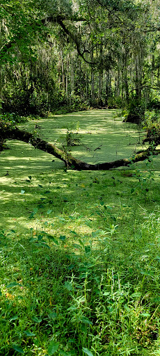 City Park «Palatlakaha Recreation Park», reviews and photos