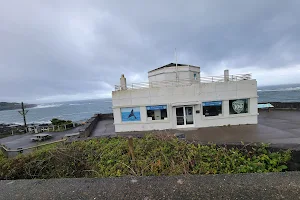OPRD Whale Watching Center image