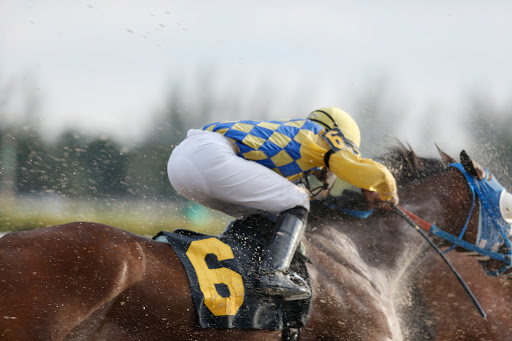 Racecourse «Gulfstream Park Racing and Casino», reviews and photos, 901 S Federal Hwy, Hallandale Beach, FL 33009, USA