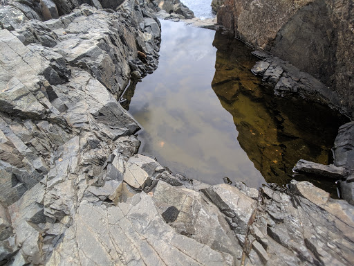 Park «Rafes Chasm Park», reviews and photos, 138 Hesperus Ave, Gloucester, MA 01930, USA