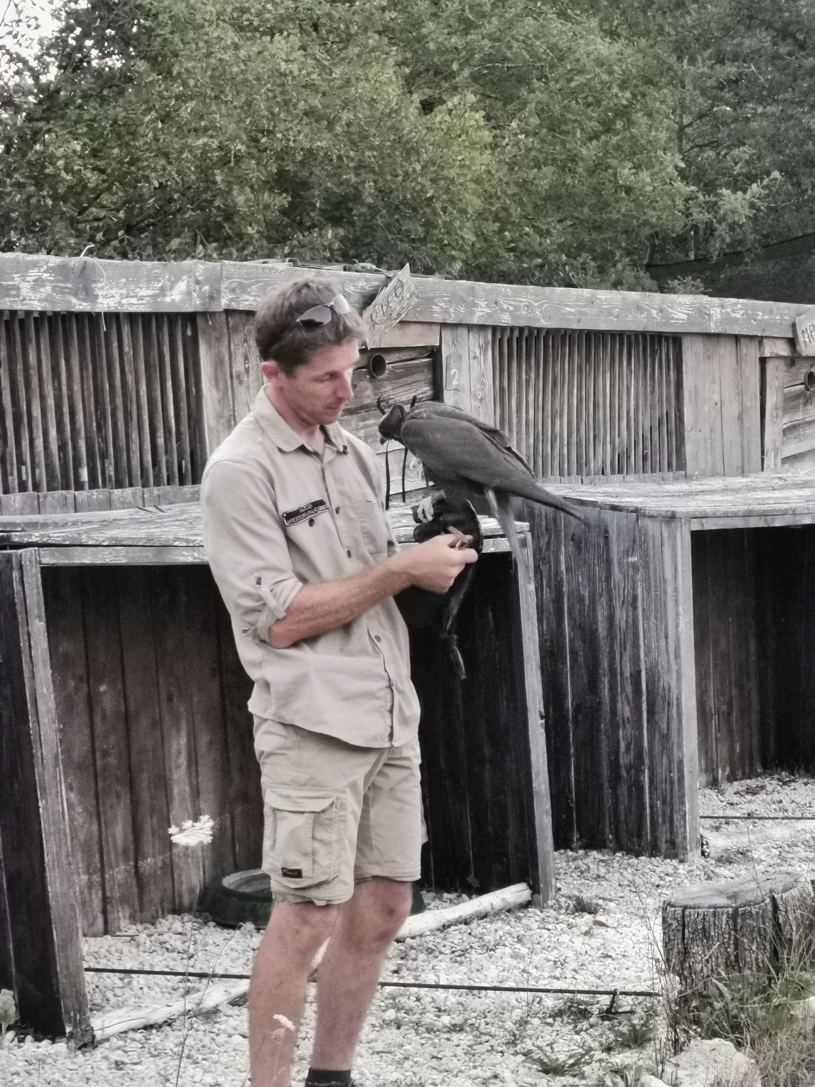 Photo n° 2 de l'avis de Sarah.a fait le 11/08/2023 à 07:34