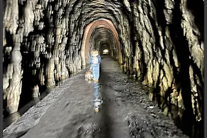 Blue Ridge Tunnel Trail, West Trailhead image