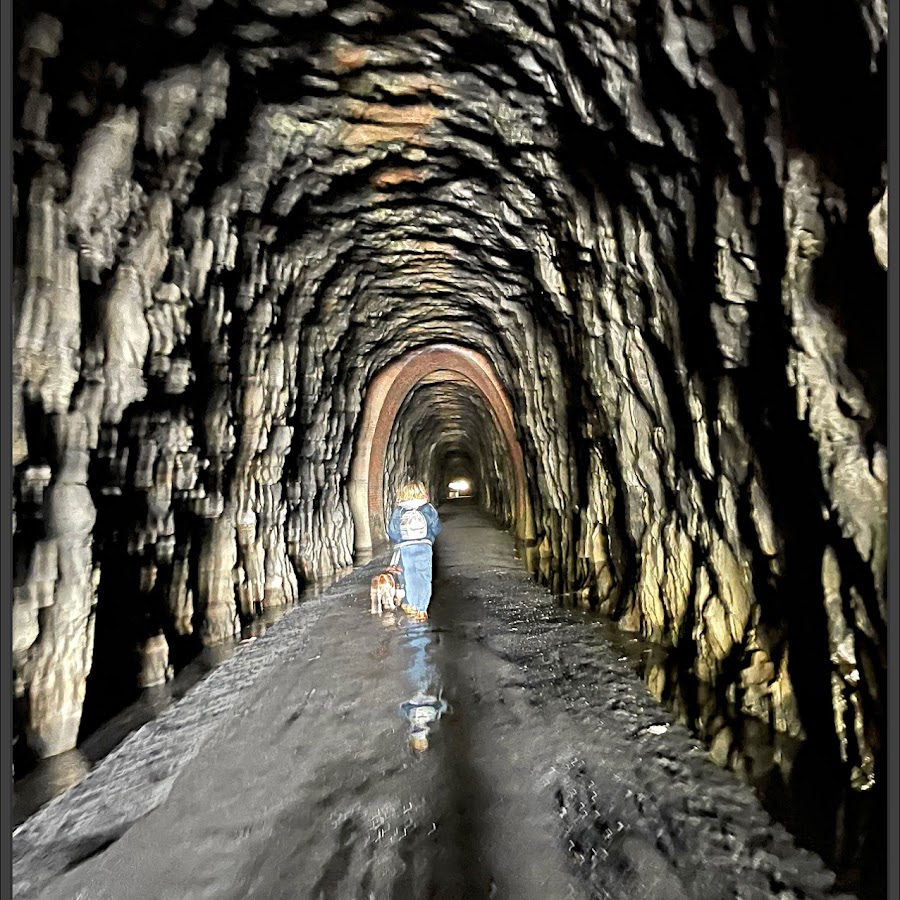 Blue Ridge Tunnel Trail, West Trailhead