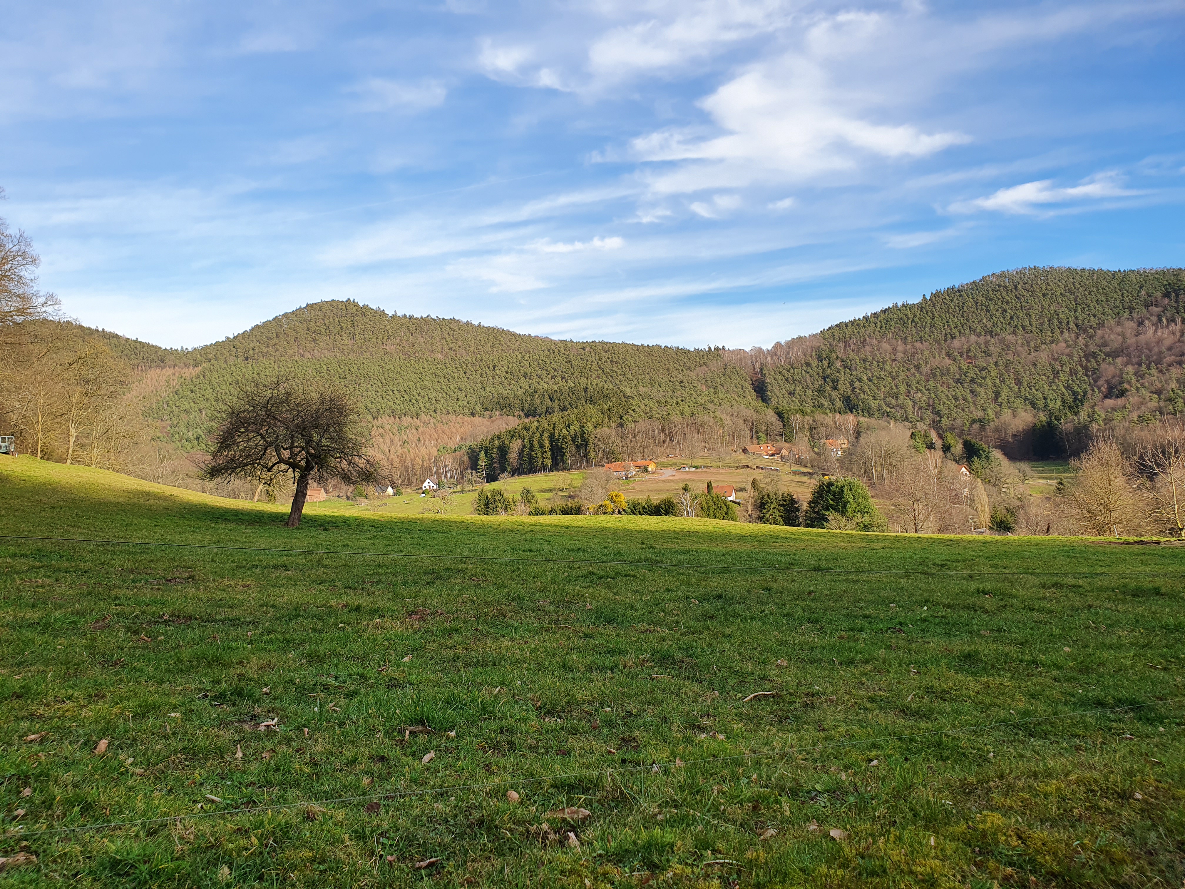 Photo n° 1 de l'avis de Eric.e fait le 26/02/2020 à 11:55