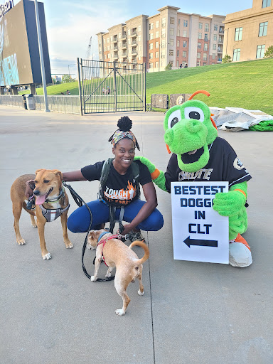 Baseball Club «Charlotte Knights Baseball Club», reviews and photos, 324 S Mint St, Charlotte, NC 28202, USA