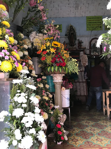 Florería Pensamineto – Purísima de Bustos