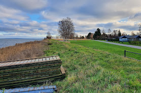 Askø Strandvig Boldbaner