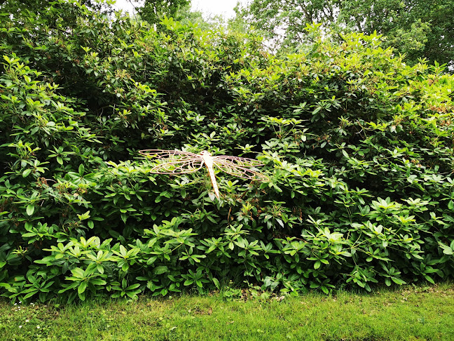 Anmeldelser af Kjellerup Skulpturpark i Kjellerup - Museum