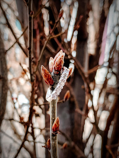 Jeweler «Carleo Creations Inc», reviews and photos, 608 N Main St, Pueblo, CO 81003, USA