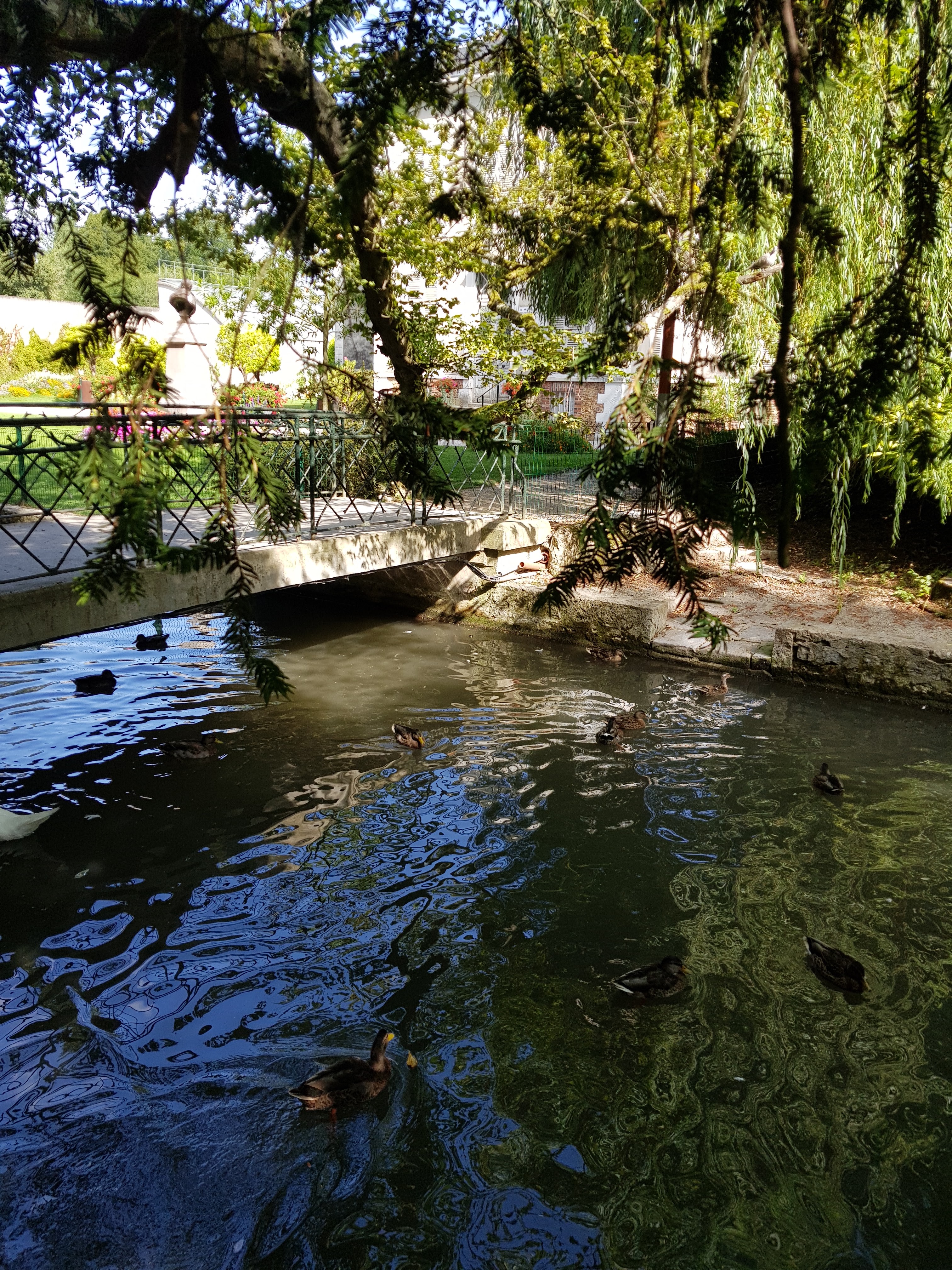 Photo n° 3 de l'avis de Olivier.U fait le 12/08/2019 à 16:29