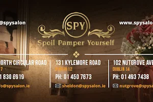 Spy Day Spa image