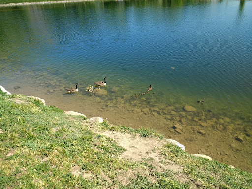 Park «Manila Creek Park», reviews and photos, 706 W 3300 N, Pleasant Grove, UT 84062, USA